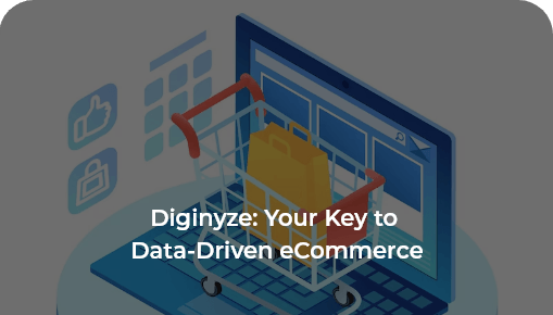 Diginyze: Your Key to Data-Driven eCommerce